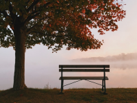 Ruhe -Foto BAnk im Herbst