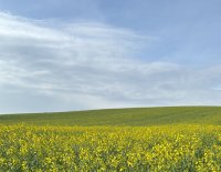 Sommertanzen-gaweinstal2025