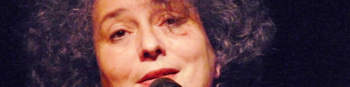 KonzertfotoShura-Michel Borzykowsi